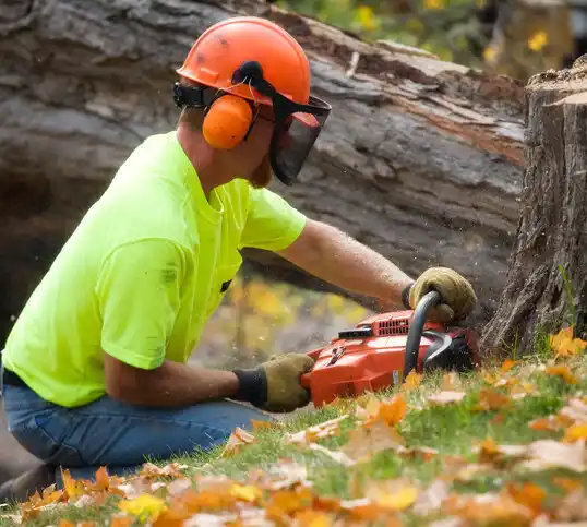 tree services Oakes